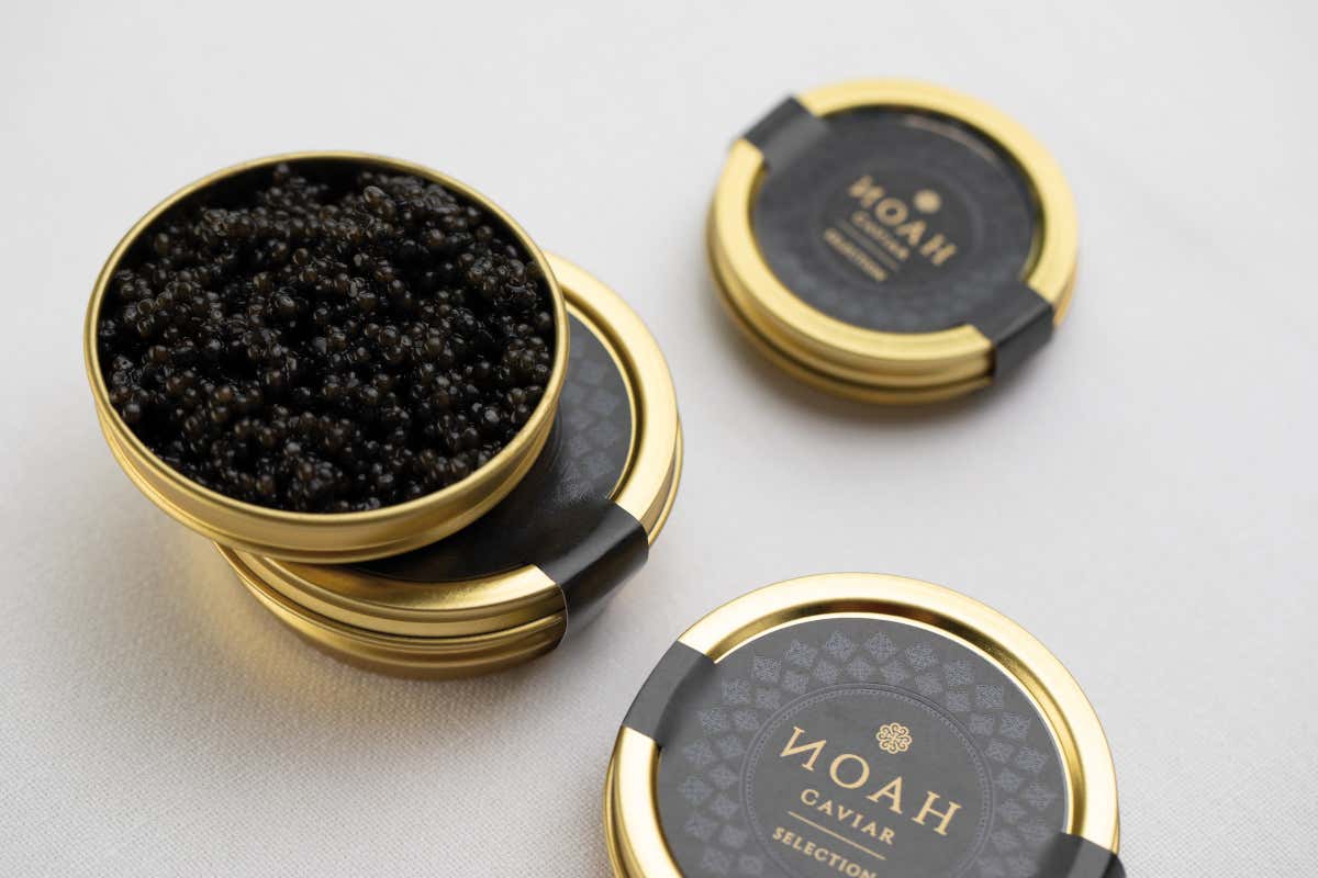 Il Noah Caviar (foto Marco Nofri) Si fa presto a dire salmone, [il coda nera &egrave; il re degli affumicati]