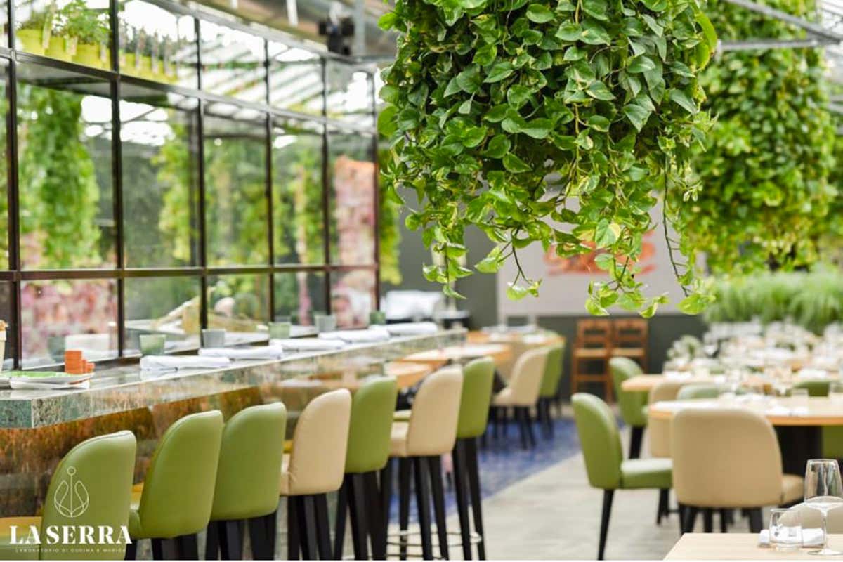 La Serra Aldo Ascani si riprende il mondo della notte La Serra Aldo Ascani si riprende il mondo della notte