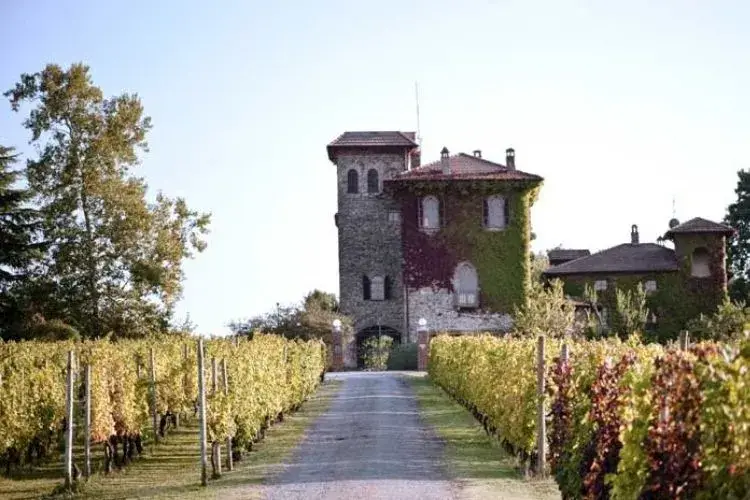 La Stoppa sui colli La Stoppa sui colli piacentini - foto: La Stoppa- foto: La Stoppa La Stoppa: a Piacenza la storia si fa BIO