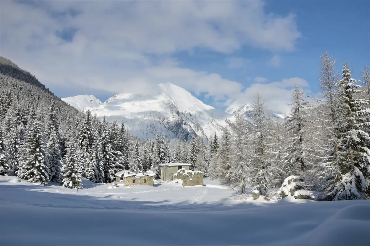 Il lato wild del Monte Bianco è anche archeologia, leggenda e mistero La Thuile svela il lato wild del Monte Bianco