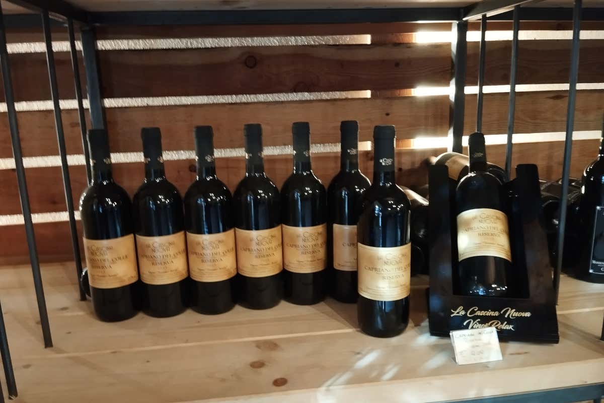 Vino e relax: la formula di Cascina Nuova, alle porte di Brescia