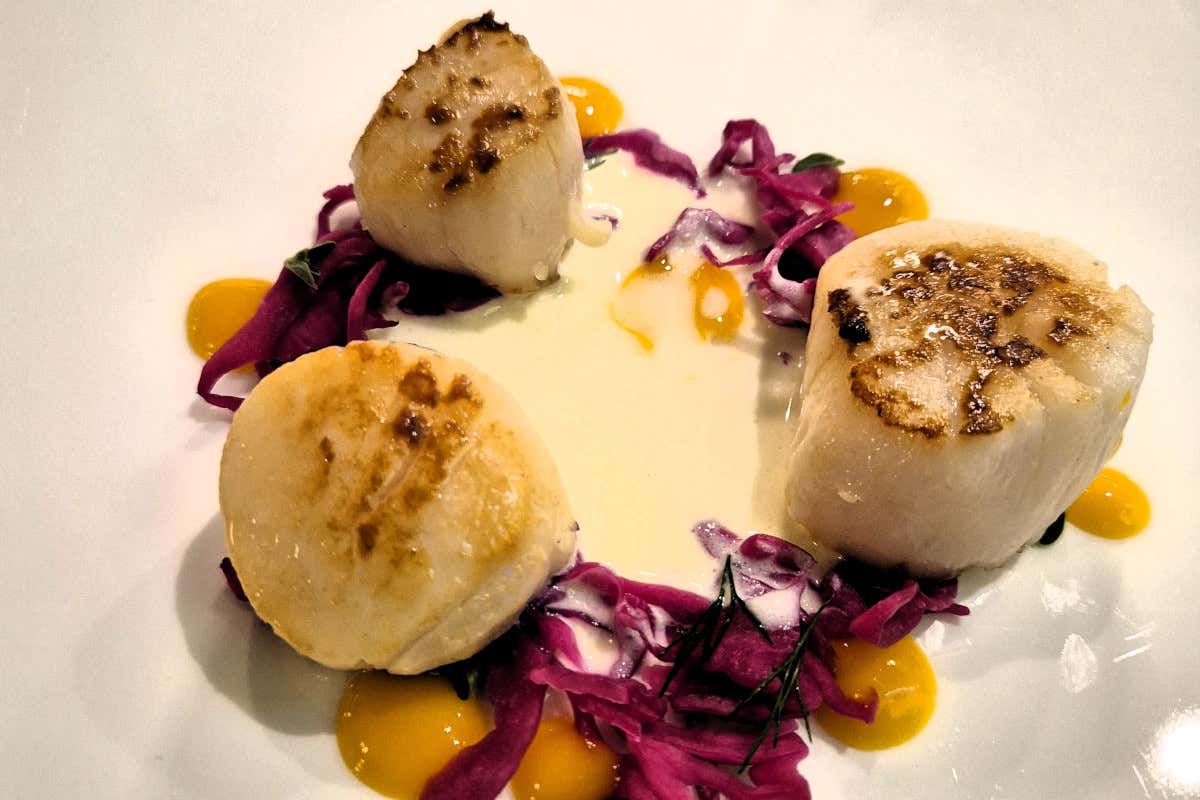 Capesante con cavolo cappuccio fermentato, gel di mango ed erba luigia