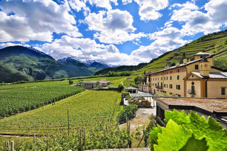 Alla Tenuta La Gatta il picnic guarda le montagne valtellinesi