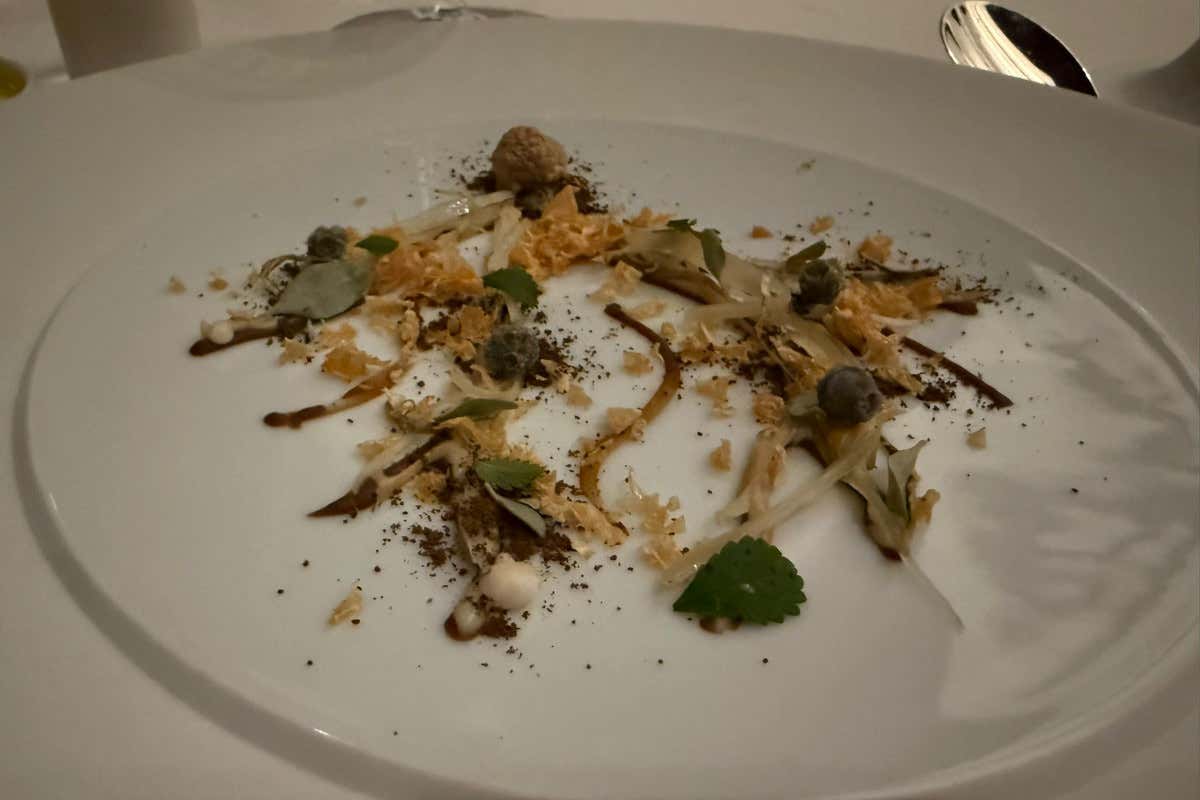 Ghiande, radici e altro....