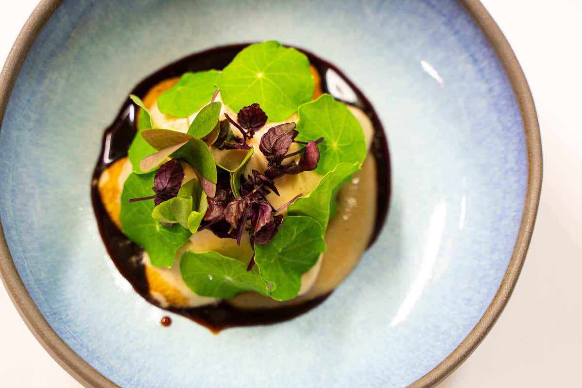 La Porta di Bologna: comfort, eleganza e una cucina che parla mediterraneo