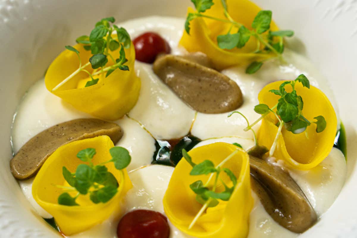 La Porta di Bologna: comfort, eleganza e una cucina che parla mediterraneo