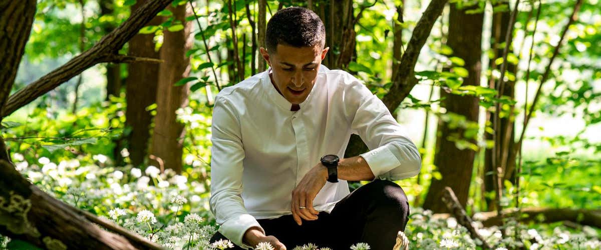 Michelangelo Mammoliti