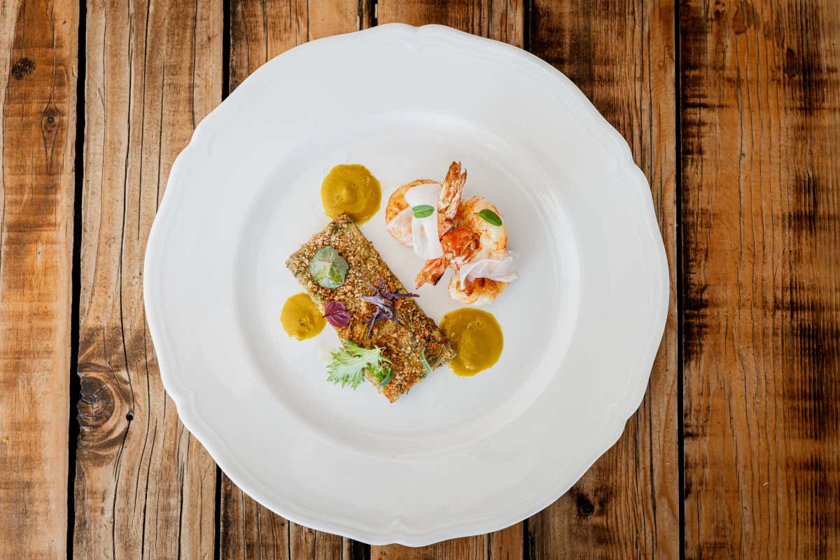 Mazzancolle arrosto con scapaccia camaiorese, fiori di zucca e ‘lardo’ di seppia