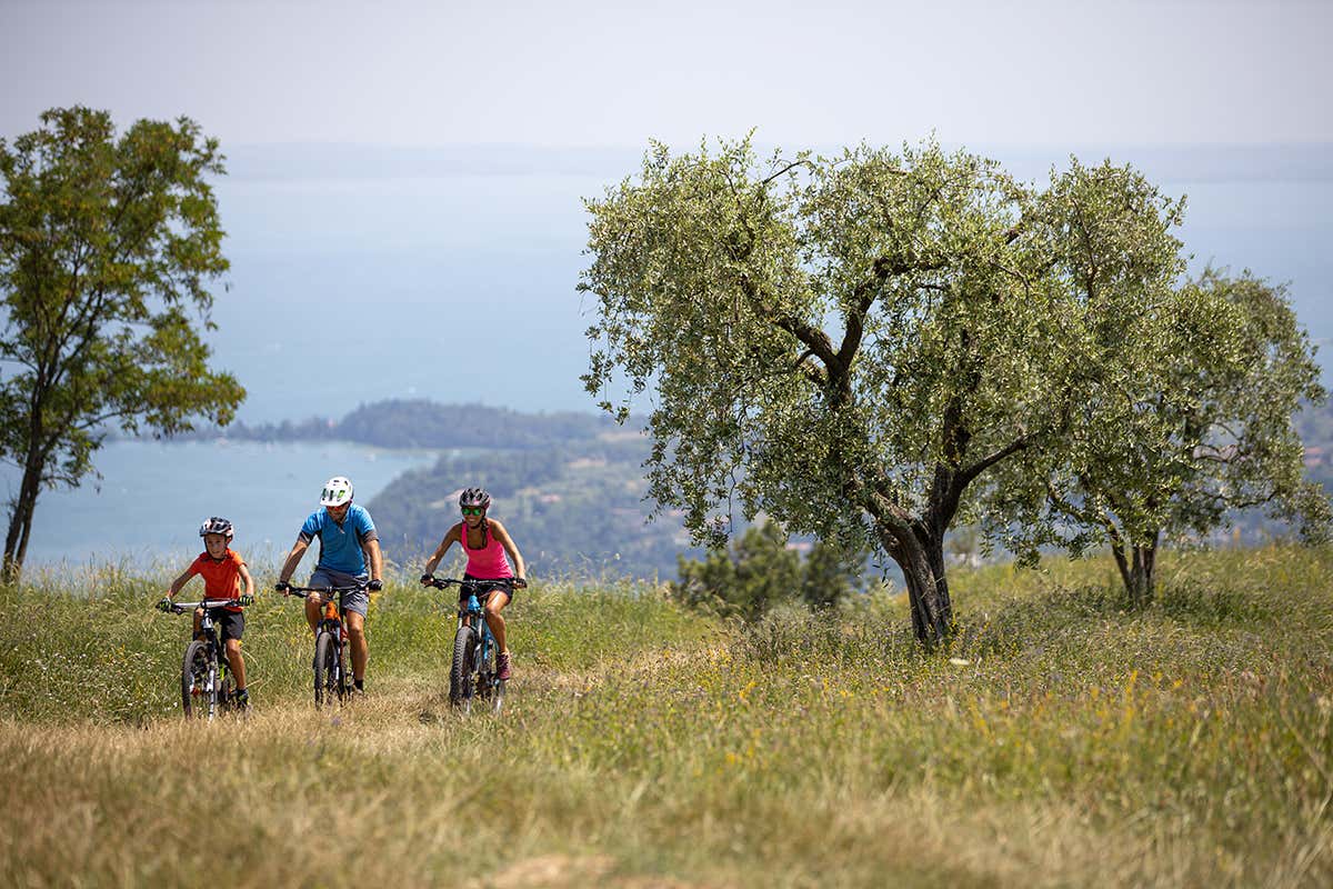 Cicloturismo in Valtènesi Enoturista amante del lago? Partiamo alla scoperta dei vini del Garda bresciano