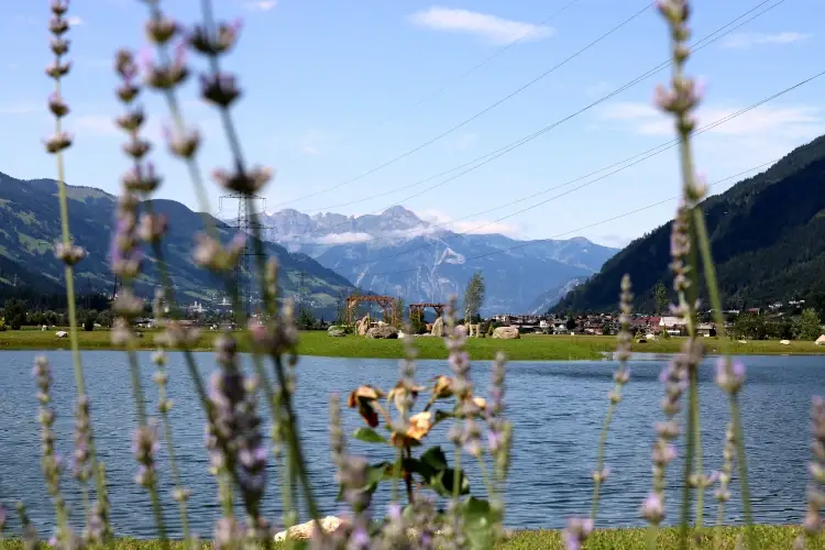 Bochra See_Fisch-Angelteich_c_zillertaltourismus_Elisabeth Hauser (13) Un tuffo nei laghi balneabili pi&ugrave; belli del Tirolo austriaco
