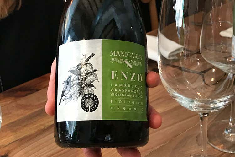 (Lambrusco Bio e Balsamico TradizionaleL'Emilia premium di Manicardi) (Lambrusco Bio e Balsamico TradizionaleL'Emilia premium di Manicardi)