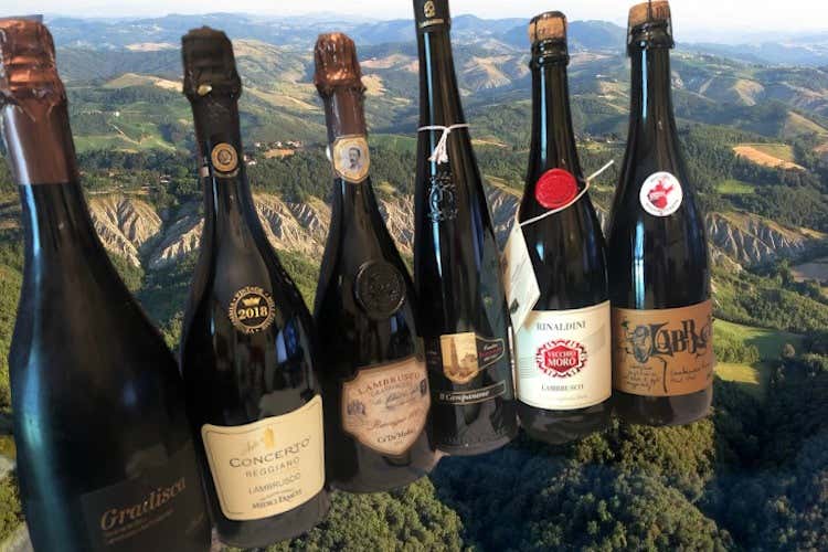 Bolle rosse, tante intepretazioni Il Lambrusco cresce coi giovani Bolle rosse, tante intepretazioni Il Lambrusco cresce coi giovani