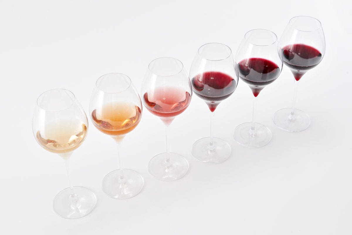 Ognuna delle sei denominazioni di Lambrusco ha i suoi tratti distintivi e complementari Lambrusco un vino adatto alla cucina regionale e internazionale