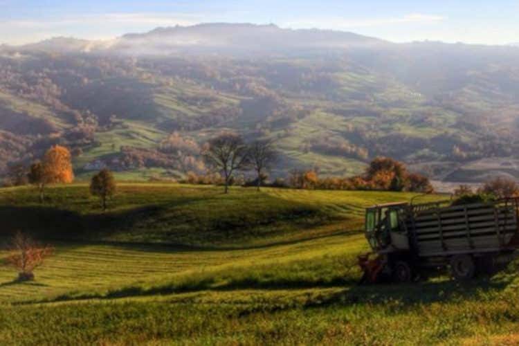 Bolle rosse, tante intepretazioni Il Lambrusco cresce coi giovani Bolle rosse, tante intepretazioni Il Lambrusco cresce coi giovani