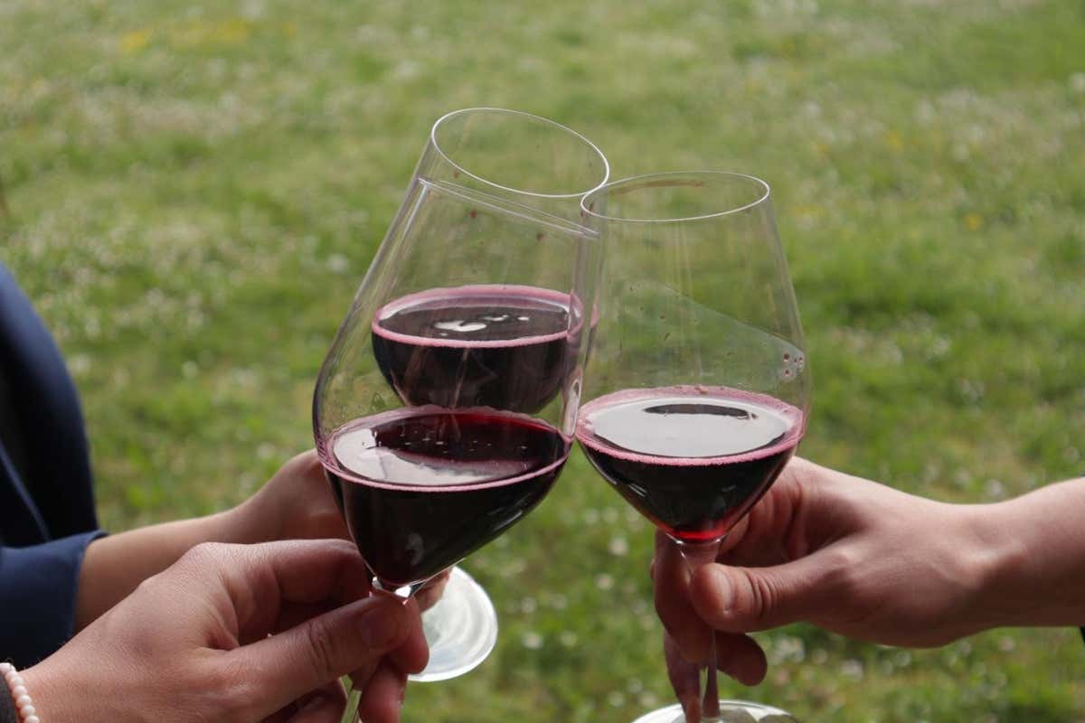 Rubiera ospita 36 cantine per un grande weekend dedicato al Lambrusco