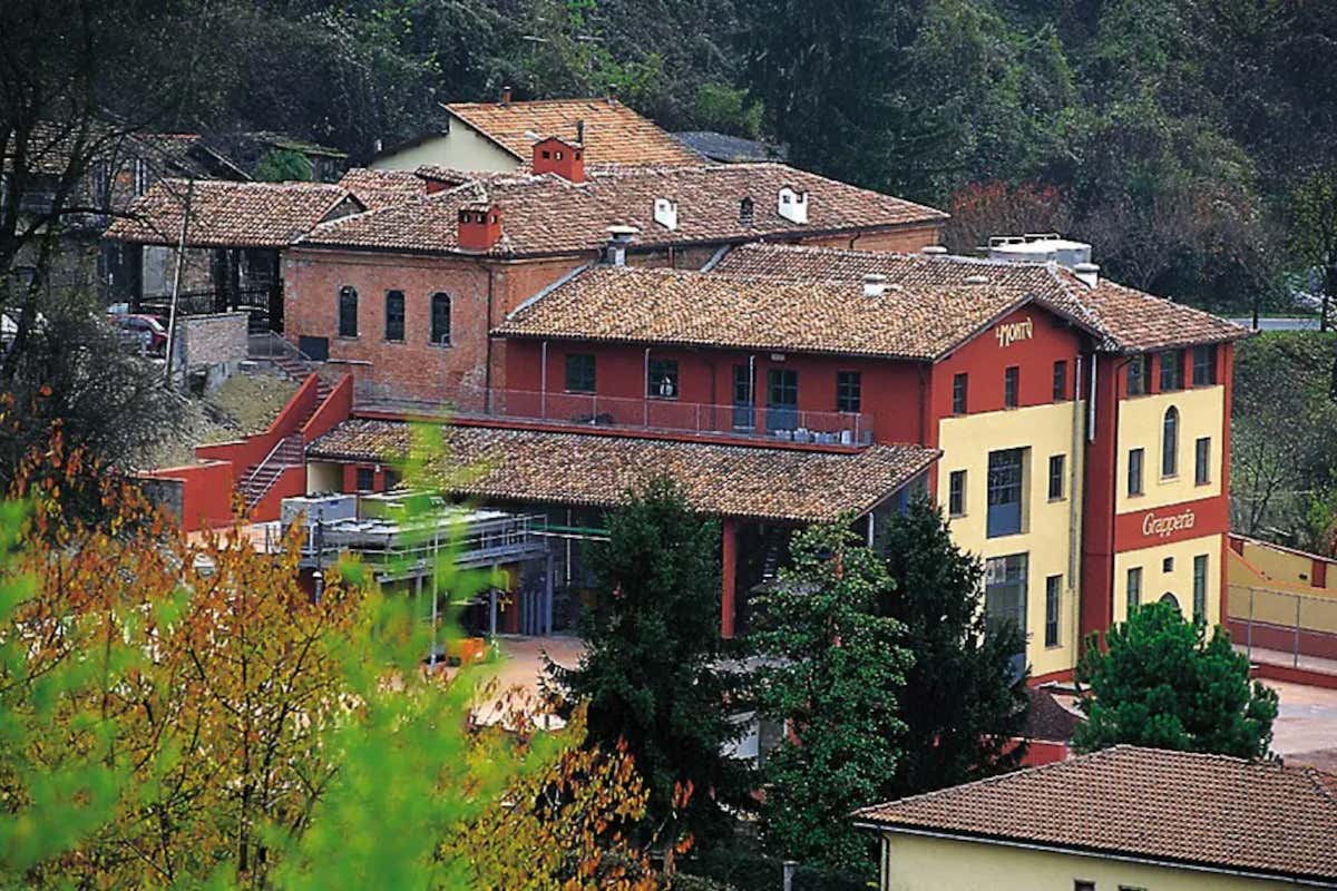 Mafalda, dalla leggenda al bicchiere: l’Oltrepò pavese si scopre (anche) terra di gin Mafalda, dalla leggenda al bicchiere: l’Oltrepò pavese si scopre (anche) terra di gin