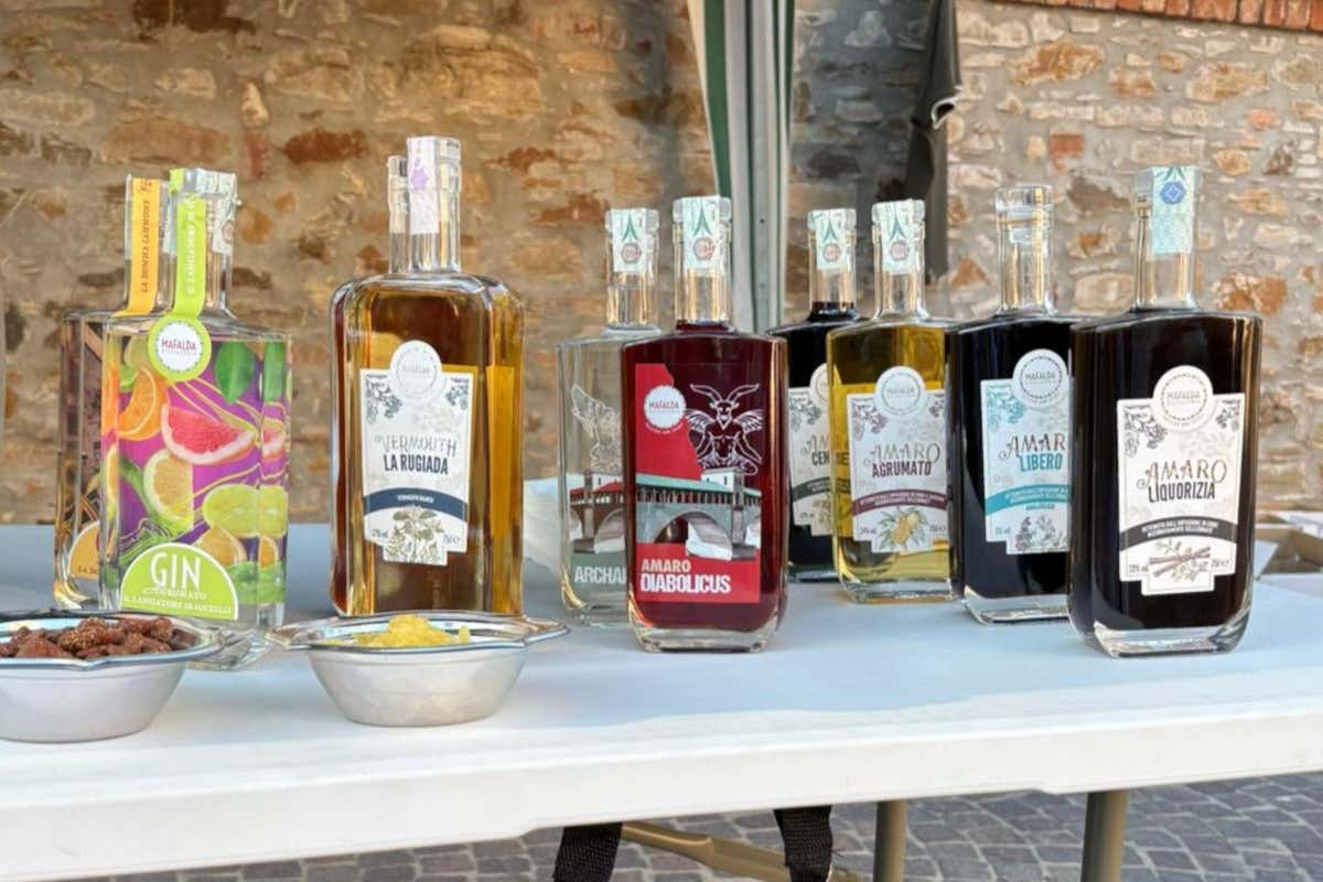 Mafalda, dalla leggenda al bicchiere: l’Oltrepò pavese si scopre (anche) terra di gin Mafalda, dalla leggenda al bicchiere: l’Oltrepò pavese si scopre (anche) terra di gin