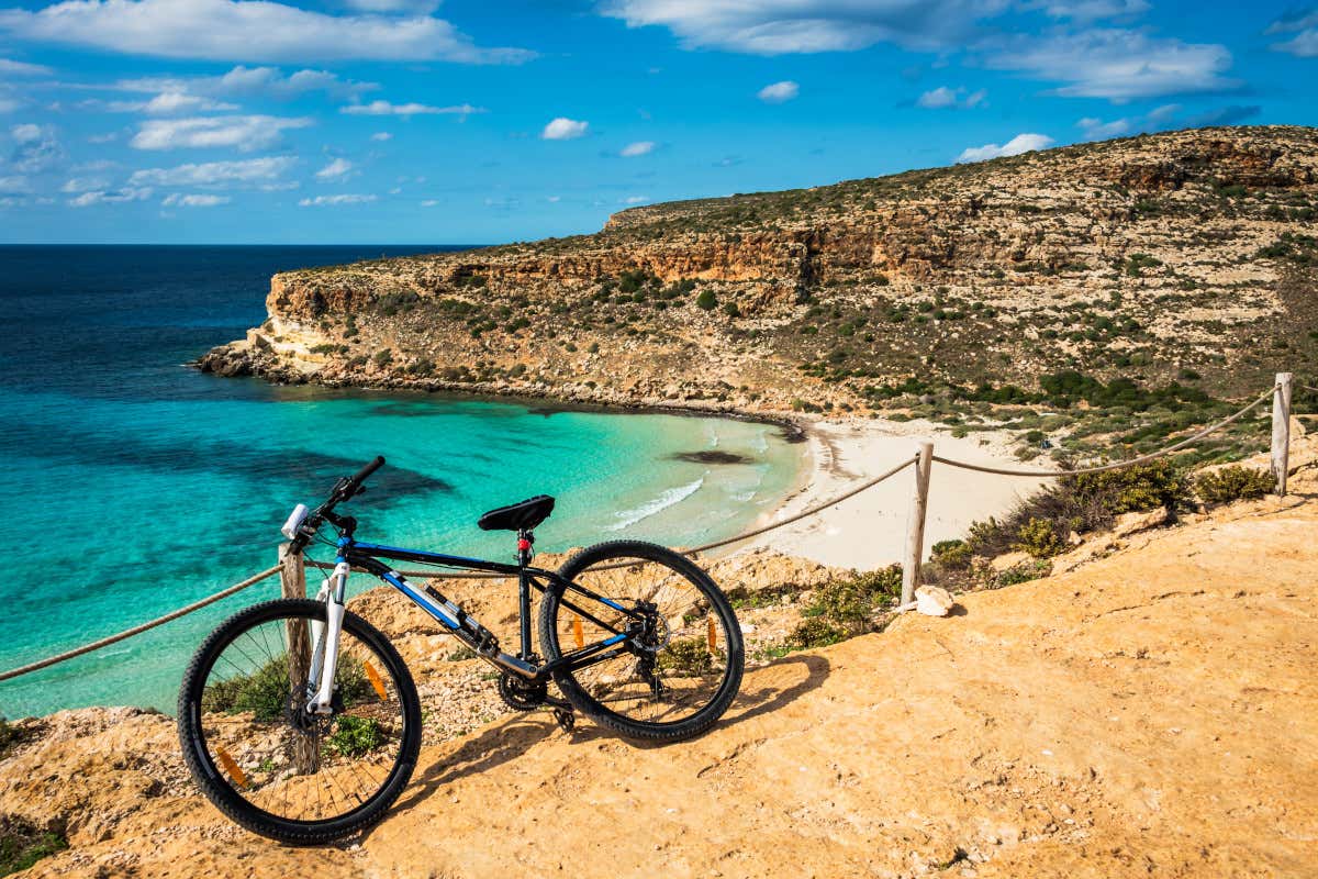 Da Lampedusa parte GirOlio d'Italia 2025: due giorni di pace, olivi e cicloturismo
