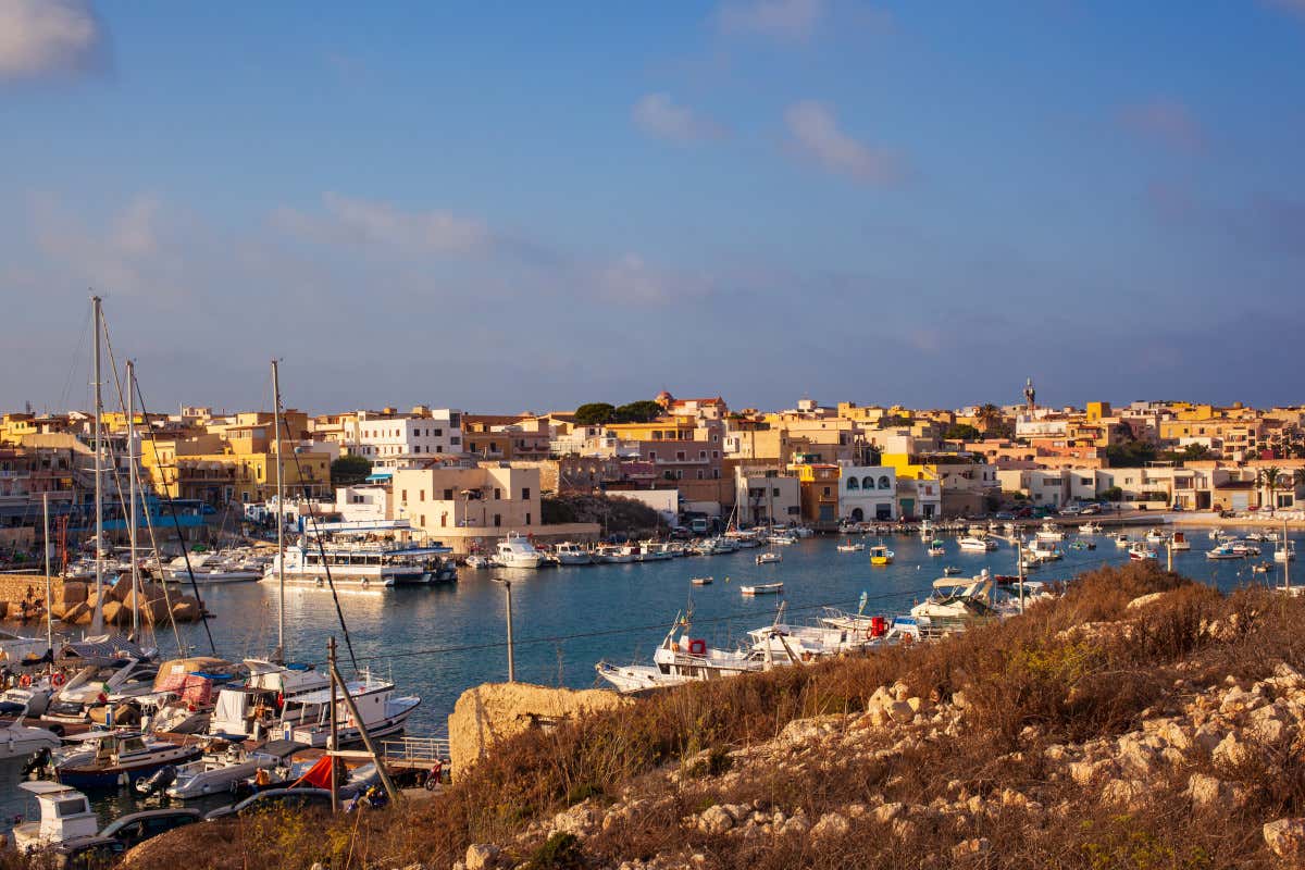 Da Lampedusa parte GirOlio d'Italia 2025: due giorni di pace, olivi e cicloturismo