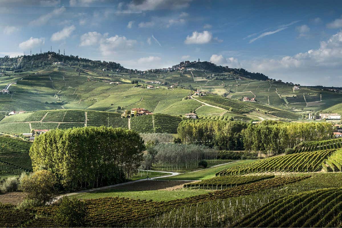 Langhe, territorio d'elezione Sandrone: famiglia, territorio, vino