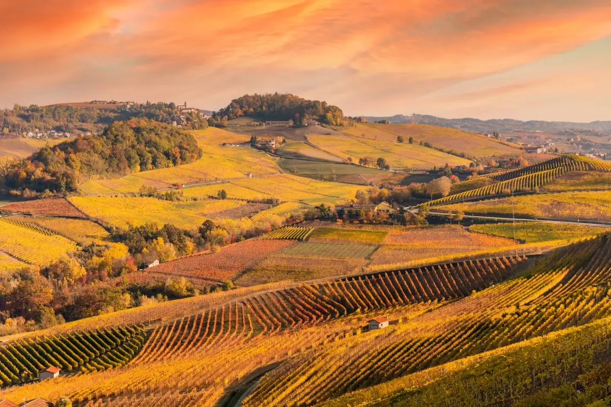 La bellezza delle Langhe in autunno Autunno magico in camper: ecco gli itinerari pi&ugrave; suggestivi tra foliage, vigneti e sagre