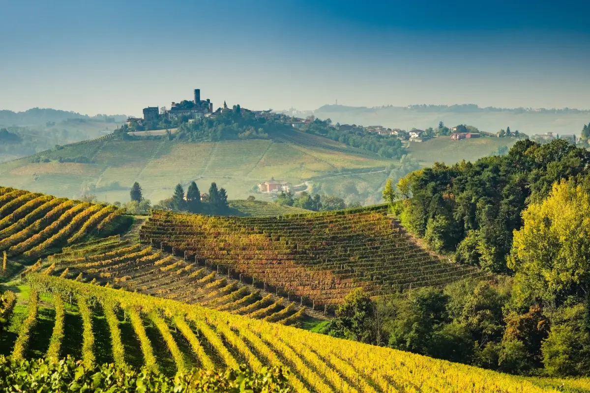 Alba, Bra, Langhe e Roero si candidano insieme a Capitale italiana della Cultura
