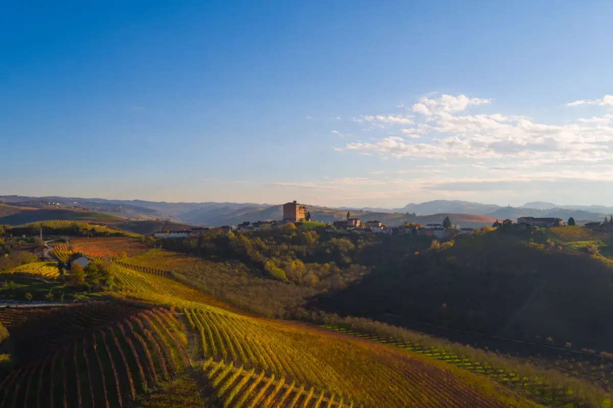 Il panorama nei pressi di Grinzane Cavour&nbsp; Ad Alba sulle tracce del tartufo bianco, il profumo che si mangia