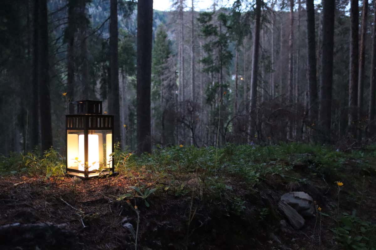 Notti d'estate: 10 esperienze uniche da vivere al chiaro di luna