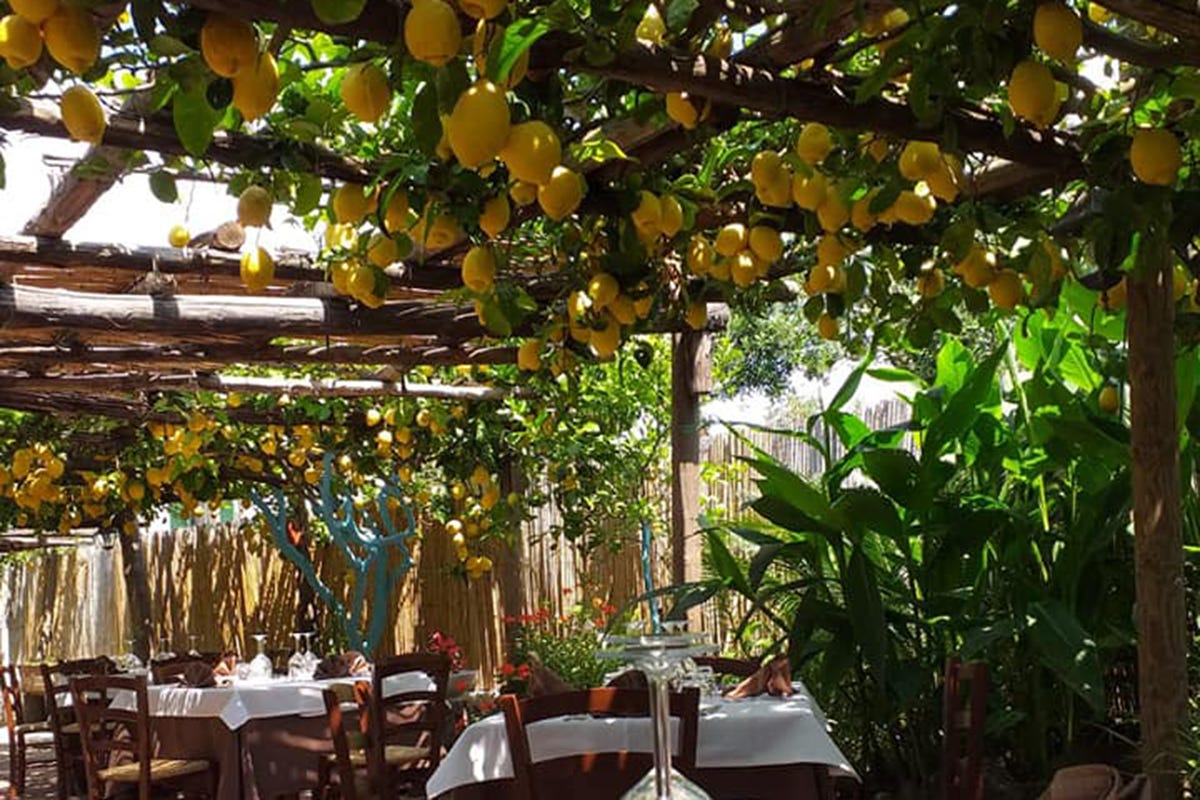 La Pergola sorge in un incantevole giardino al centro dell'isola  Procida “dentro”: viaggio tra ristoranti e alloggi in cui assaporare la vera bellezza