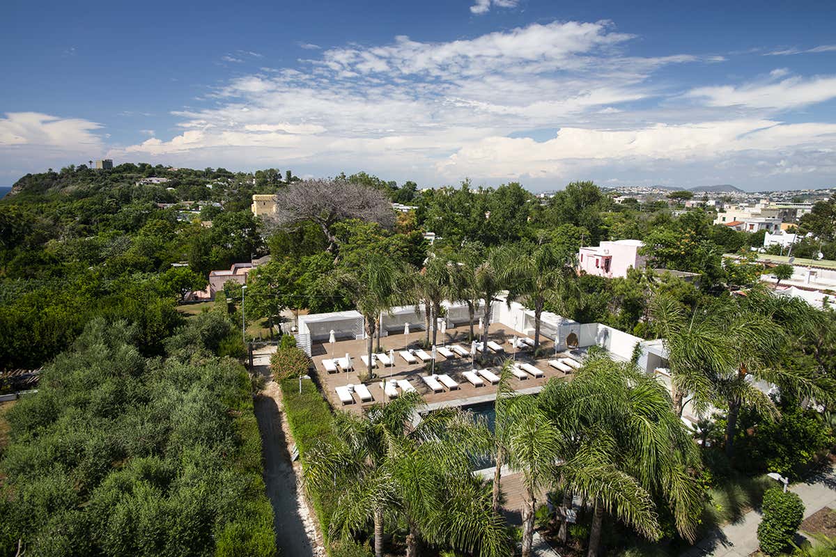 La Suite, soggiorno a contatto con la natura. Foto: vgiannella Procida “dentro”: viaggio tra ristoranti e alloggi in cui assaporare la vera bellezza La Suite, soggiorno a contatto con la natura. Foto: vgiannella Procida “dentro”: viaggio tra ristoranti e alloggi in cui assaporare la vera bellezza