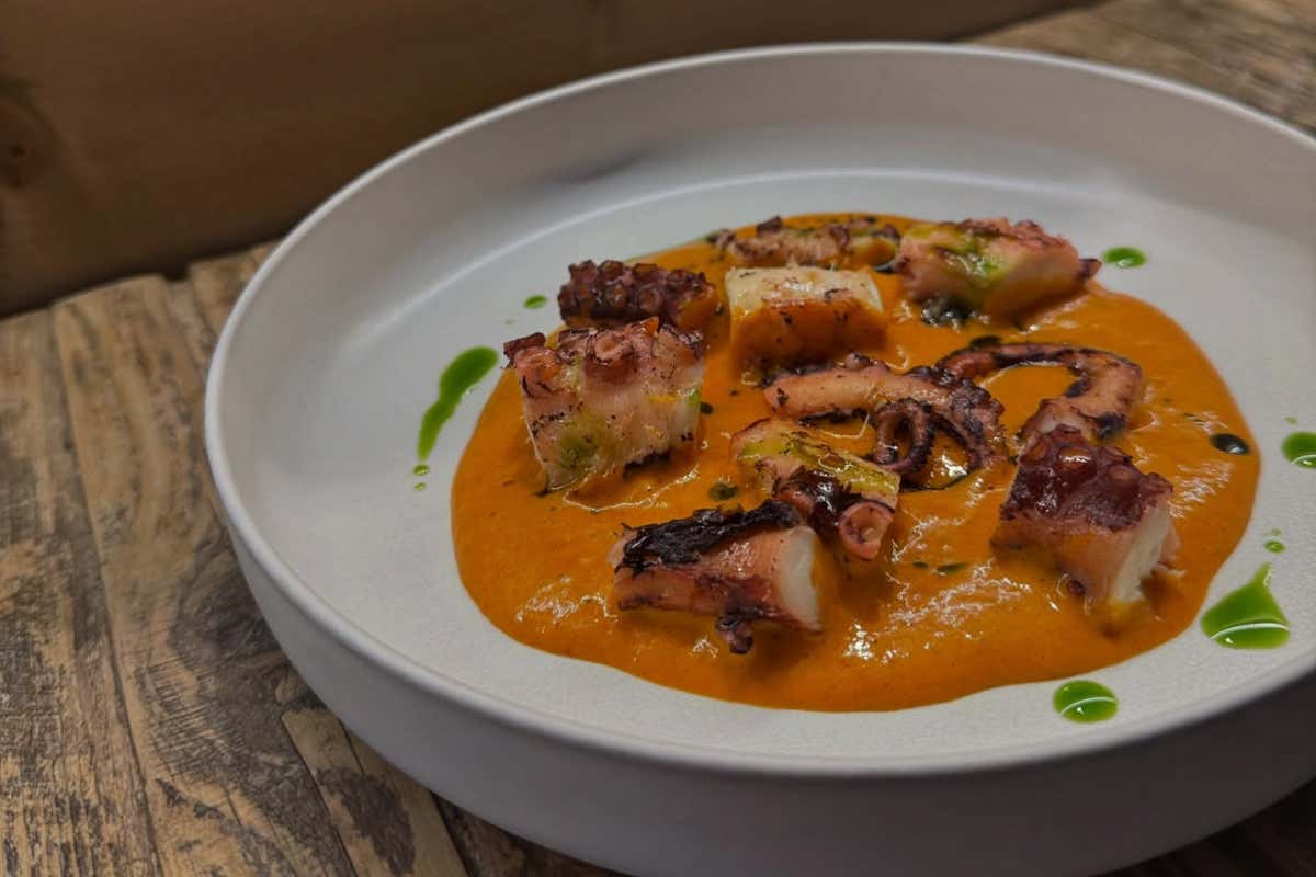 Polpo al bbq, Spuma alla Nduja e olio Prezzemolo, uno dei piatti simbolo di Luca Lanciani