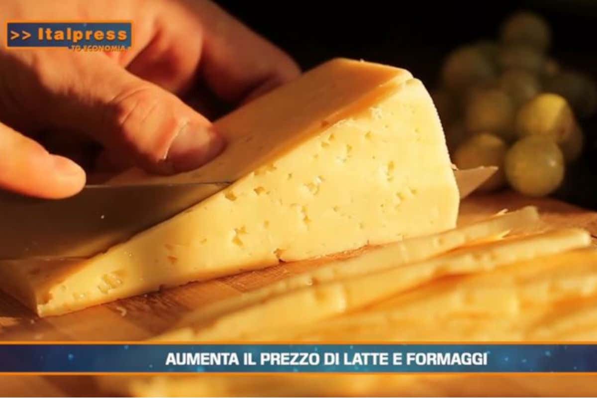 [TG Economia]: Aumenta il prezzo di latte e formaggi