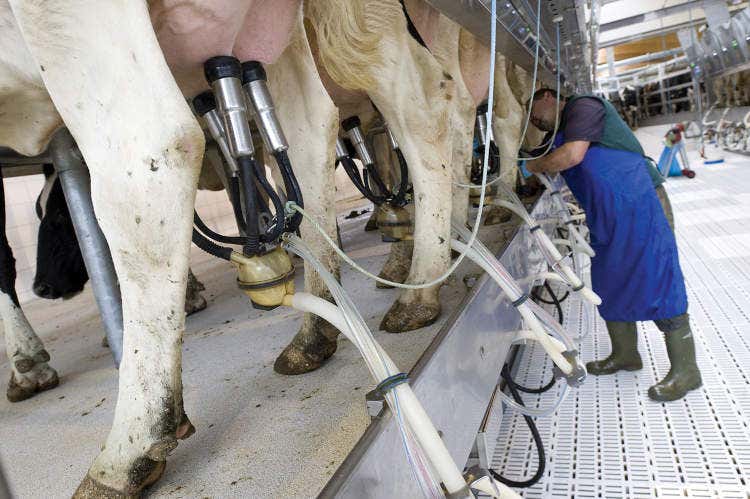 Cala la richiesta e le disponibilità di latte sono elevatissime - Latte, Bellanova nel mirinoCentinaio: «L'ora è drammatica»