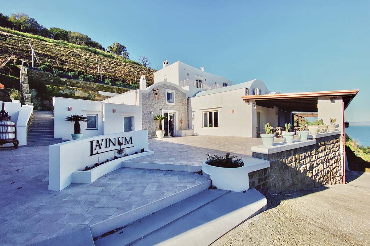 Agriturismo Lavinum, arroccato sulla collina di Monte di Procida [[Giro del Golfo in otto giorni]]: il bello e il buono dei Campi Flegrei