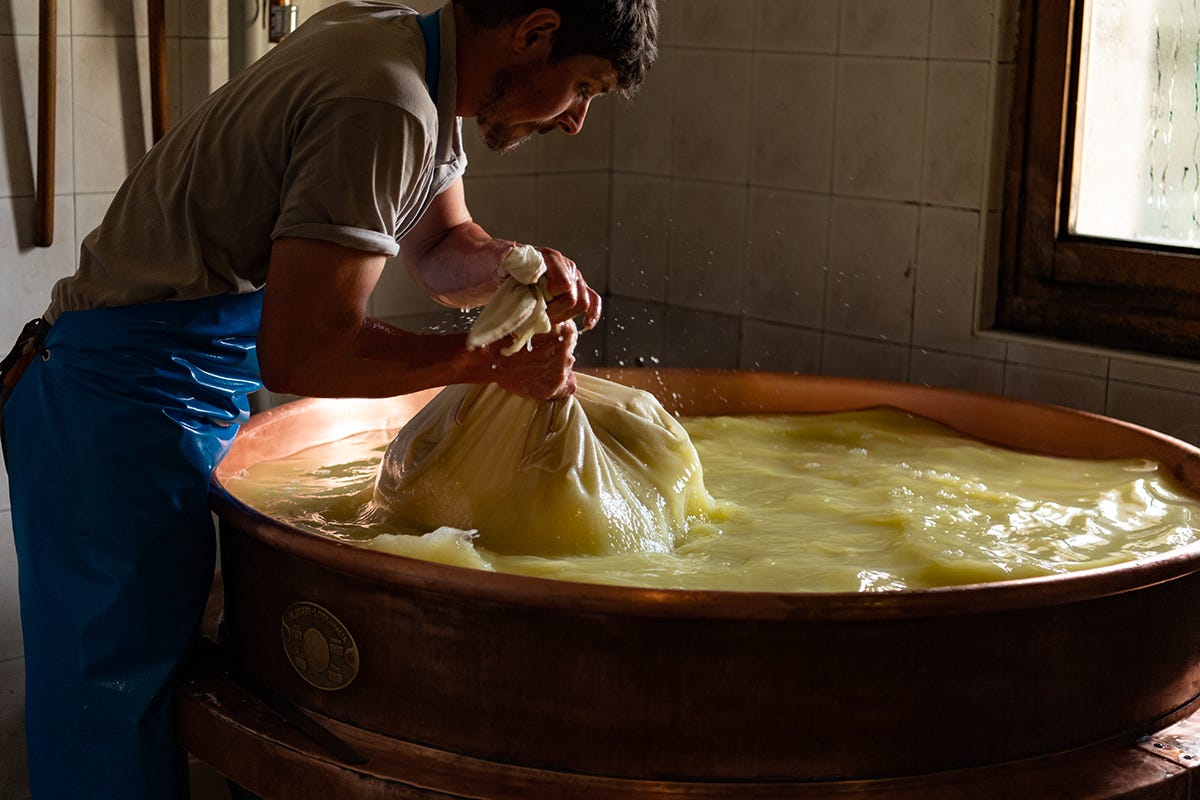 Lavorazione del formaggio Assaggiando il Bitto: 7 tappe tra i borghi e sapori della Valtellina