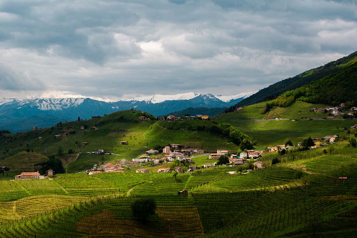 Le Colture: quando il valore della famiglia è sinonimo di eccellenza