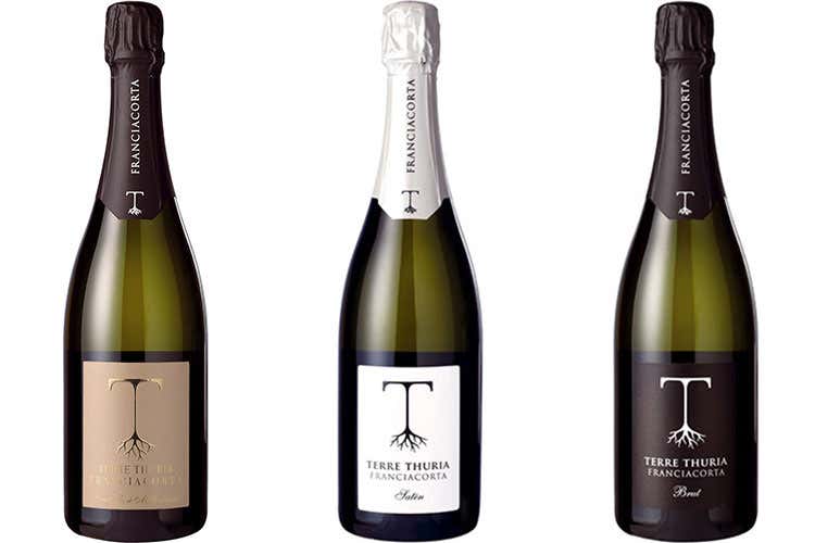 La linea Terre Thuria (Terre Thuria di Franciacorta Il Satèn 2015 Le Marchesine)