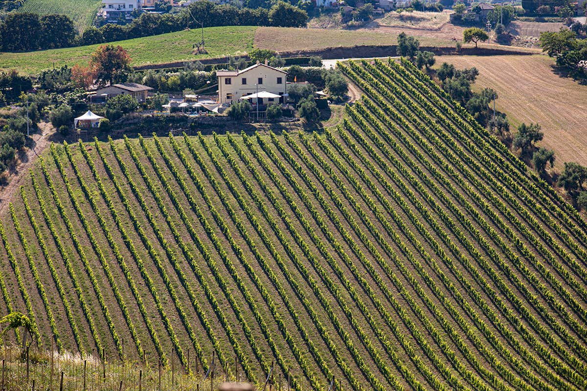 [[Terra di Ea]], cucina di territorio e relax assicurato