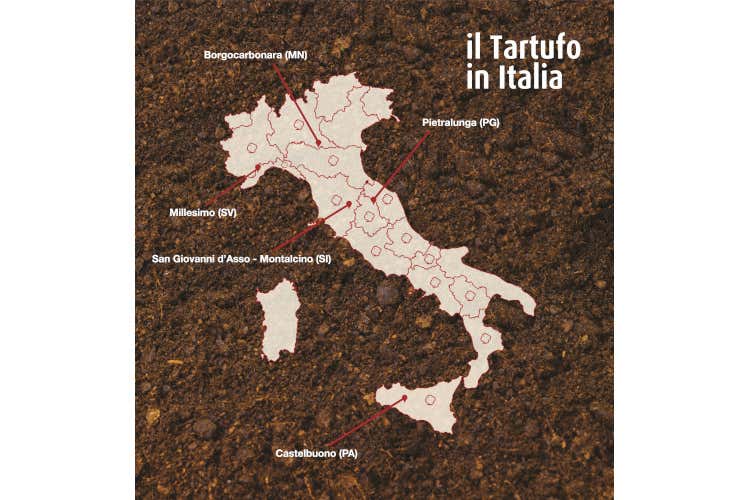 Mappa delle Citt&agrave; del Tartufo. Fonte: Associazione nazionale Citt&agrave; del tartufo&nbsp; Millesimo: biodiversit&agrave; e.. Festa Nazionale del Tartufo