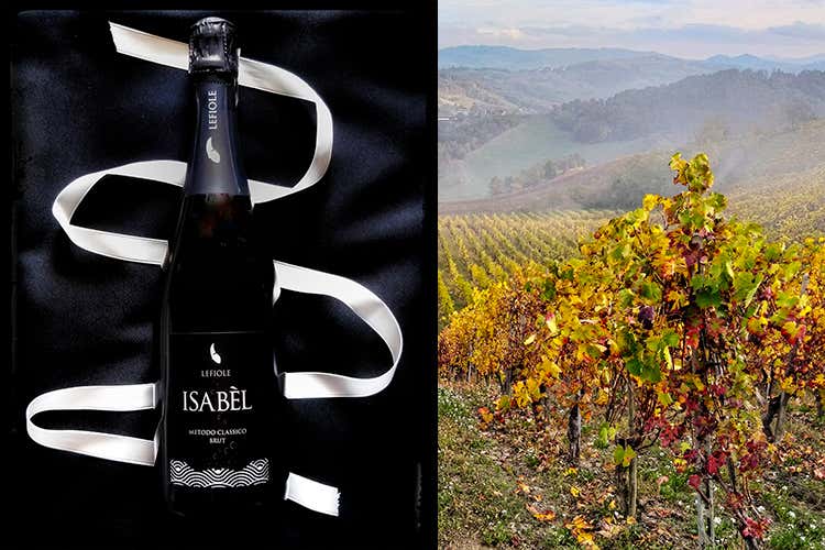 Isabèl - Crisi del vino? Lefiole rilancia Ecco Isabèl, bollicina di qualità Isabèl - Crisi del vino? Lefiole rilancia Ecco Isabèl, bollicina di qualità