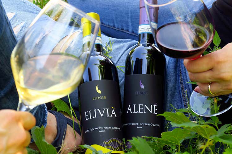 Elivià e Alene - Crisi del vino? Lefiole rilancia Ecco Isabèl, bollicina di qualità Elivià e Alene - Crisi del vino? Lefiole rilancia Ecco Isabèl, bollicina di qualità