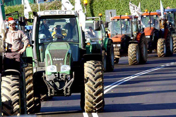 Torna d'attualità la questione quote latte (Lega all’attacco sulle quote latte Interrogazione a Bellanova)