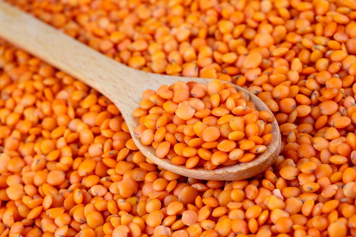 Lenticchie rosse turche, quotazioni in forte calo Lenticchie rosse turche: quotazioni giù del 31% in una settimana