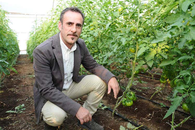 Salvatore Lentiello - Il Pachino verso la blockchain per un futuro ancora  più garantito