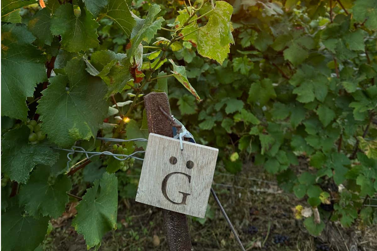 Vivere la magia dell'autunno nei wine resort di Les Collectionneurs