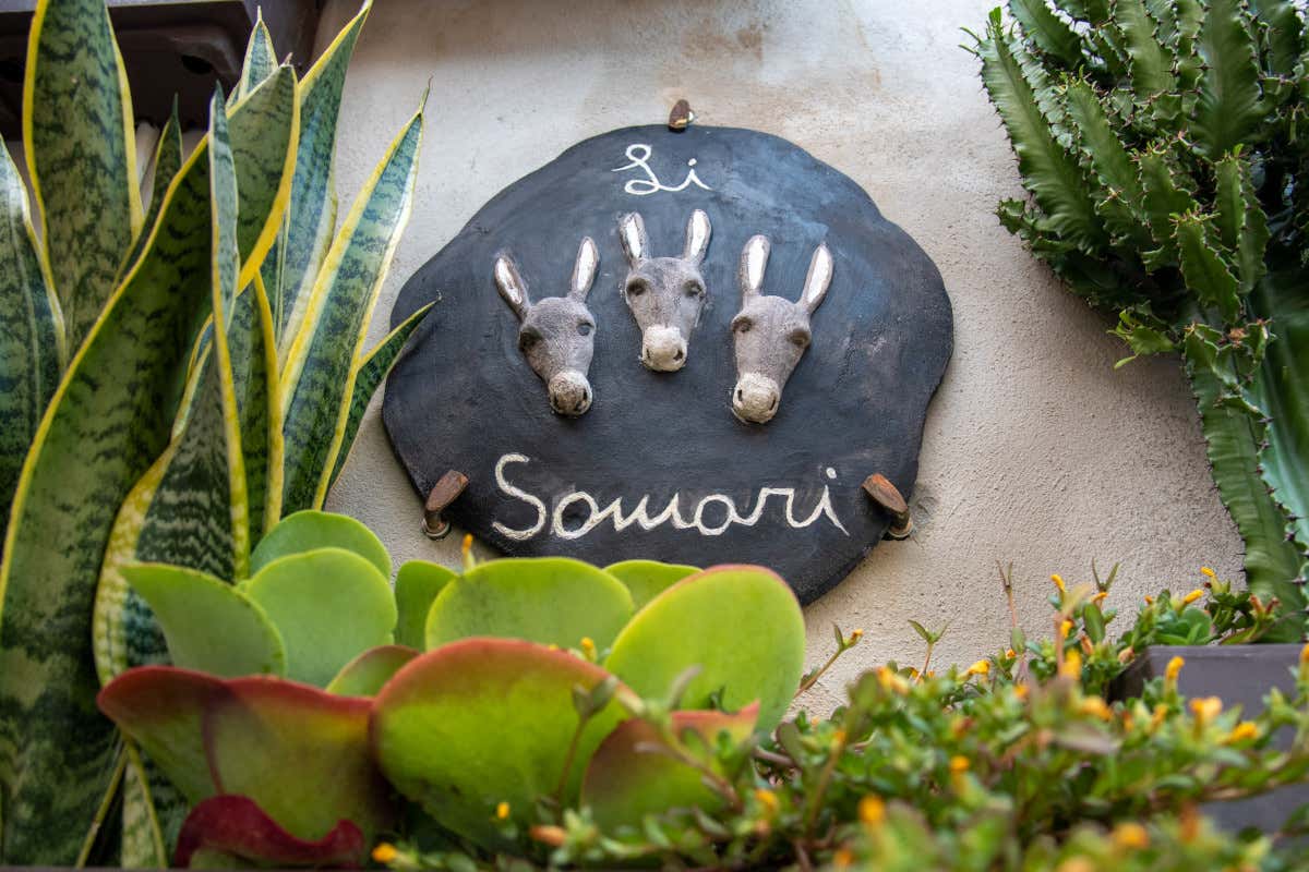 Li Somari a Tivoli: viaggio alla ricerca della autentica cucina laziale 