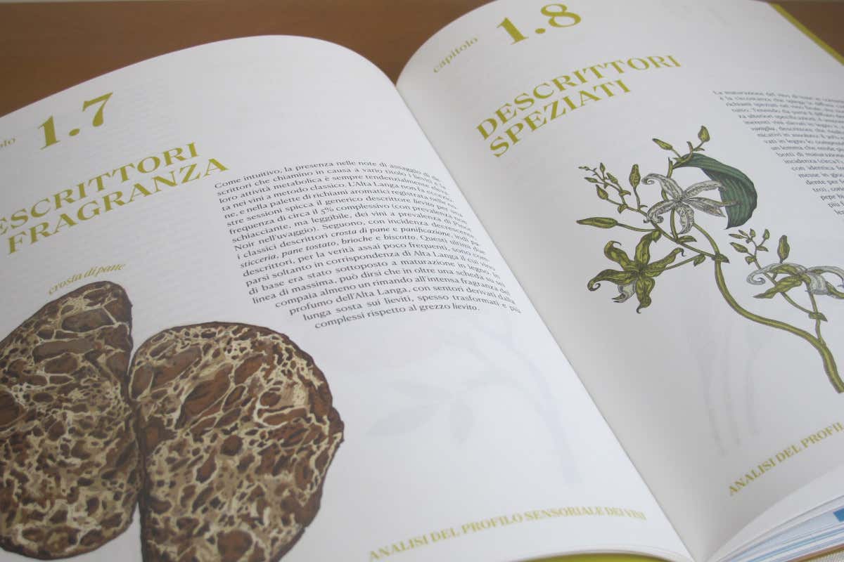 Alta Langa, il racconto della denominazione in un libro