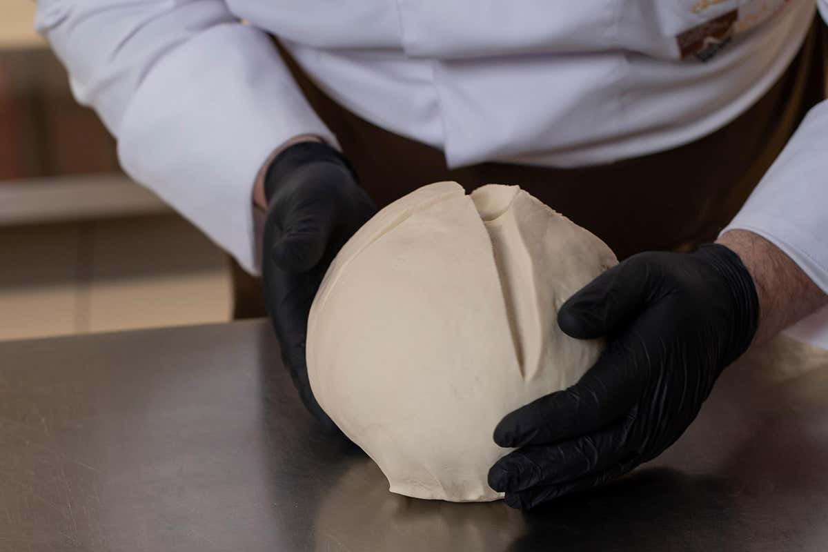 Lievito madre Il mondo intorno al panettone: a Caserta si incontrano i professionisti