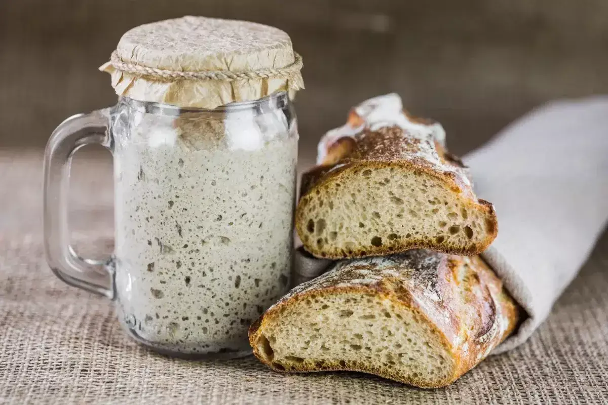 LIevito madre Lievito Madre da Rinfresco: il Consorzio si presenta