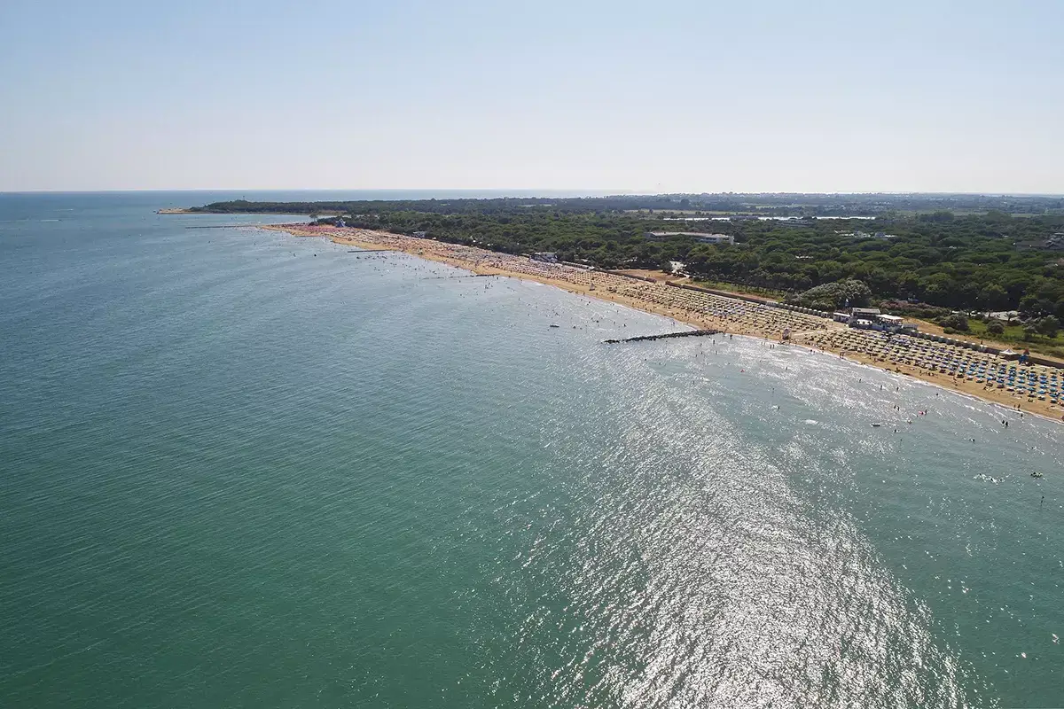 Tra pineta e laguna. Foto: Francesco Morongiu A Lignano Sabbiadoro non solo mare ma anche bagni di foresta